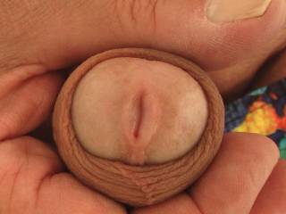 Here's looking at you!