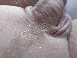 Shaved ok? ;-)
