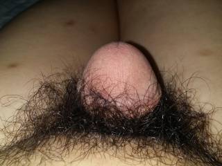 My soft penis