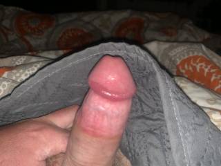 My dick. Any thoughts ?