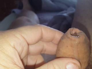 Premium leaking out of my tiny cock