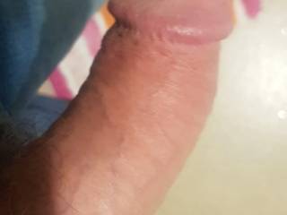 Horny cock want\'s to fuck 24/7