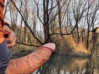 When a sparrow see a dick …the sparrow fly away