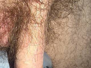 Morning wood turned into a hanging delight.