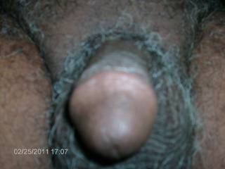dick head n balls #1