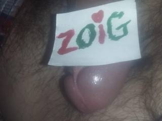 Merry Xmas Zoig