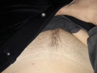 hairy pussy