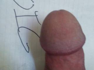 My mushroom