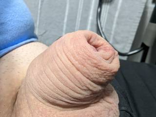 My shriveled cock in the morning