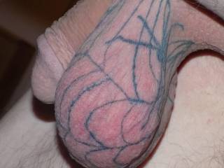 Side view of the Spider web tattoo on my scrotum
