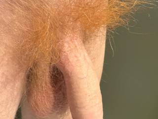 What do you think about my red hairy dick ? :)
