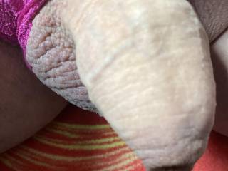 Close up of my shaved cock hanging out of my purple lace thong.