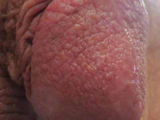 leaking precum on zoig!