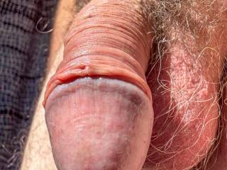 dick