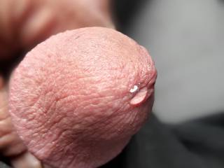 My dick head with pre-cum