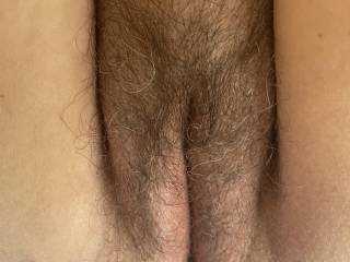 Bush
