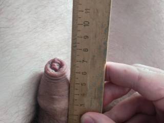 soft penis with ruler