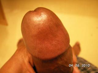how would you lick this dome?