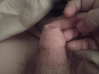Little fella