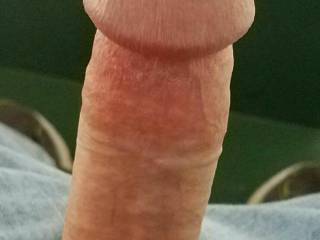 To any local ladies in the area, would you care to ride this for me... he's been neglected