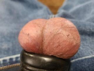 My shaved balls being squeezed by my oxball. I wore it for hours and my wife was clueless. She has no idea that I have it