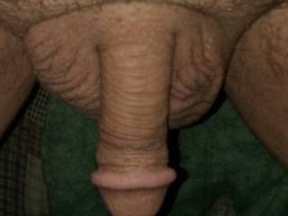 I need a dick im my ass