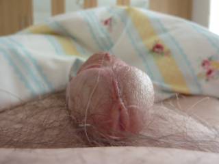 heres looking at you, I do need a shave though..any helpers?