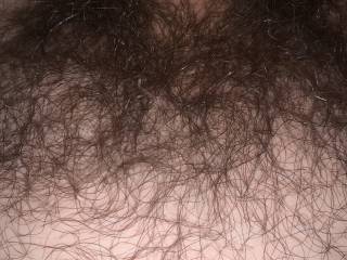 My bush!!!