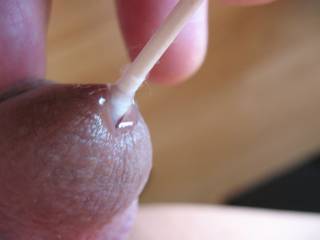 When I get horny, I love to stick things inside my cute little cock.  Is that a Q-Tip that I see inside there?  He wants it to stay in there for a while