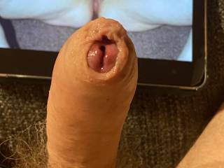 A tribute for beautybird