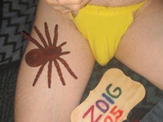 A selfie of my undie pouch as I sit with a spider near by. Sony W290 camera was used.