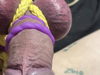 Dick tied and balls for you 😘
