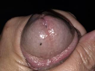 Roll your tongue around my ridge to lap up my sweet buttery precum....