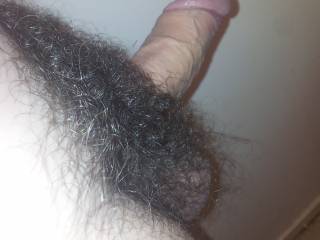 dick