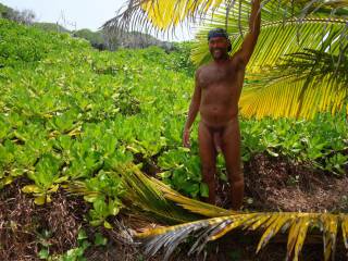 another nude day in the tropics .........