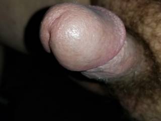 Front shot of my cock..tell me what u think