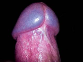 the head of my cock in all its glory, hard and colourful