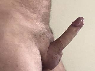Straight out of bed I had this erected penis, wanted to share……