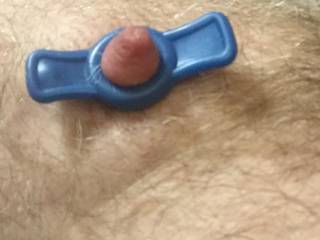 Used my zemu nipple pump until my nipples were huge and then put a tiny doc Johnson cock ring on it. It felt so sensitive especially when I put some spit on it and rubbed it around.
