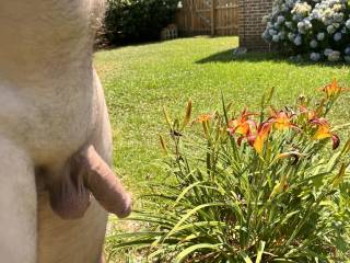A beautiful sunny hot day, enjoying the sun and nature