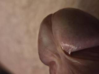 Tip of my cock who wants to wank with me?