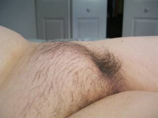 lick my hairy pussy