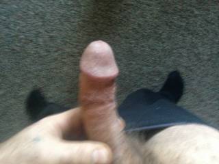 just another pic of my dick...it gets bigger than that too !!!