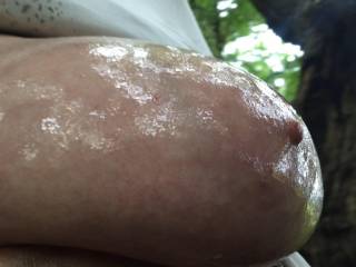 A lovely shiny view under the trees