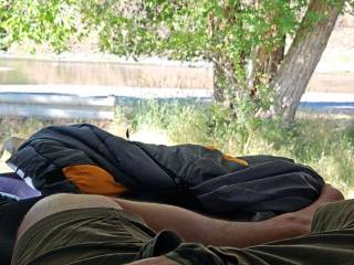 Camping morning wood