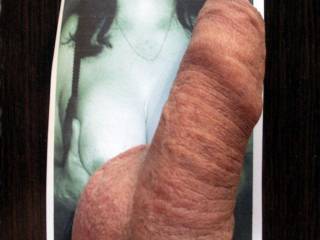 My cock tribute to my friend Carilda