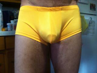 Maine, cock, Swimwear, underwear