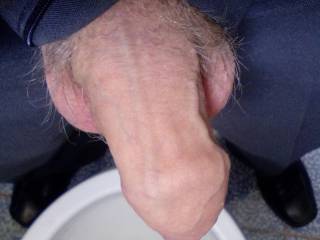 my cock