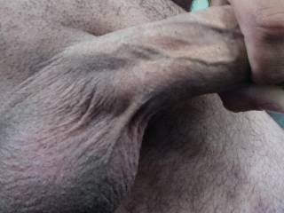 cock