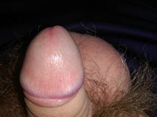 One of my cock
